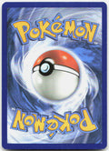 Ursaring Reverse Holo Uncommon SWSH07: Evolving Skies 127/203 LP