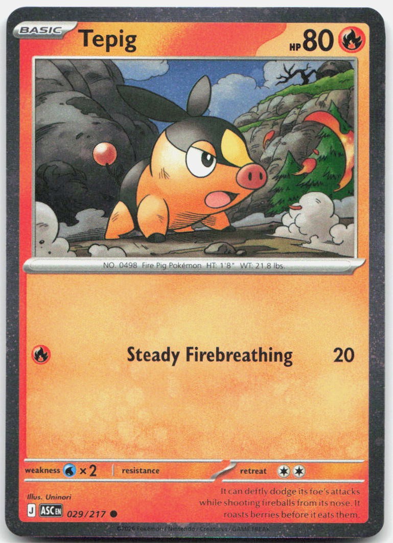 Tepig - (Cosmos Holo) Holo Common Miscellaneous Cards & Products 029/217 NM