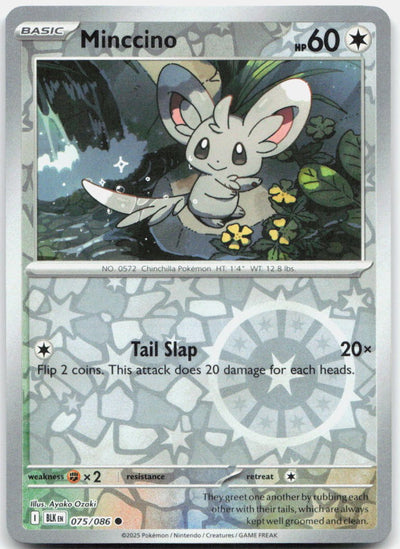 Minccino Reverse Holo Common SV: Black Bolt 075/086 NM