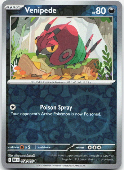 Venipede Reverse Holo Common SV: Black Bolt 054/086 NM